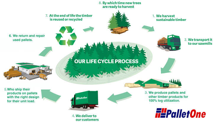 pallet life cycle