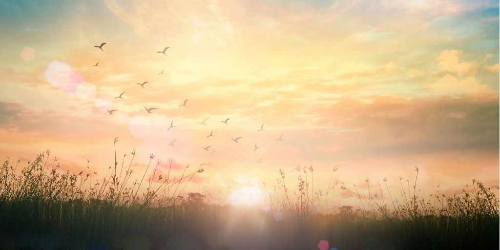 NEW DAY DAWNING 1 PalletOne Inc.