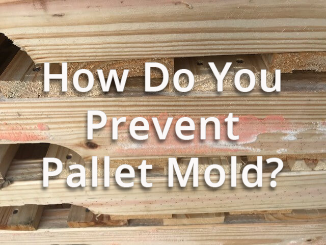 How do you prevent pallet mold?