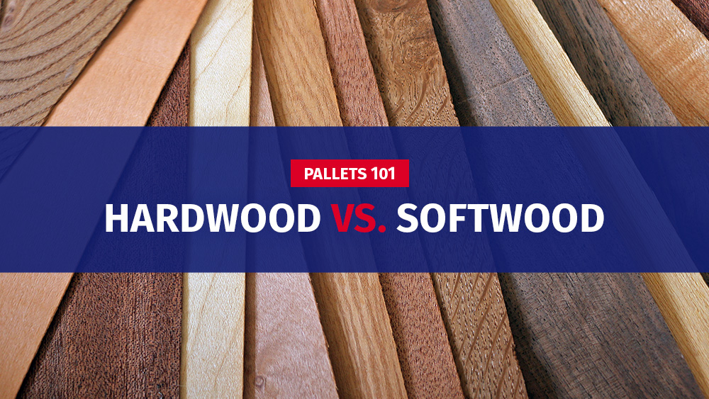 Hardwood vs. Softwood