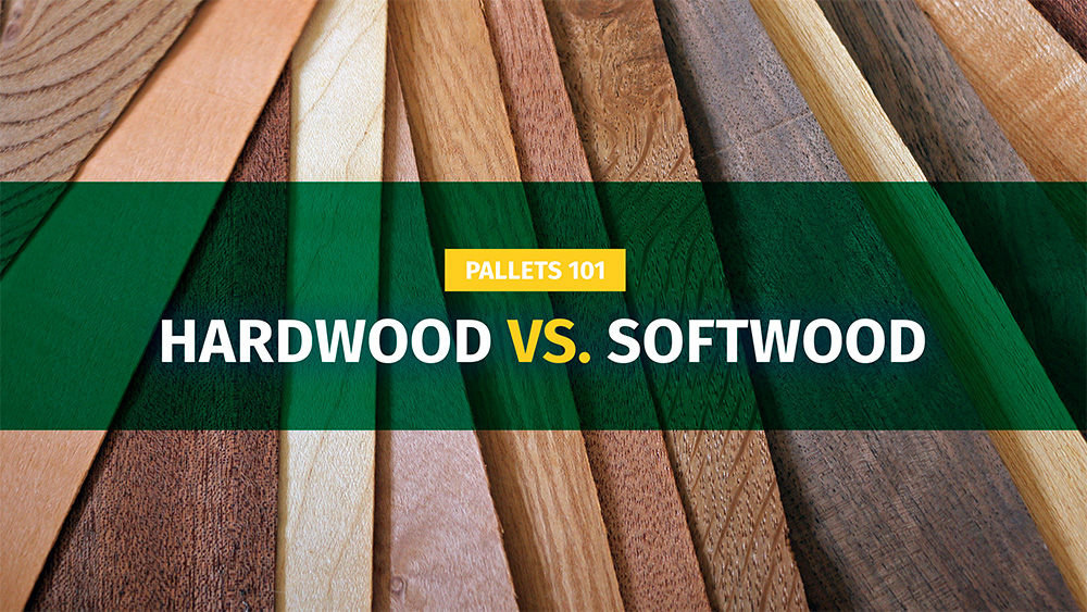 Hardwood vs. Softwood